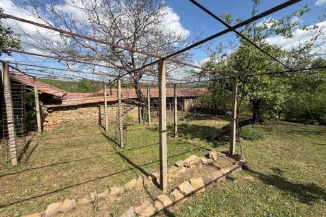 Property Image 39