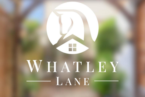 Blurred Marketing white logo.png