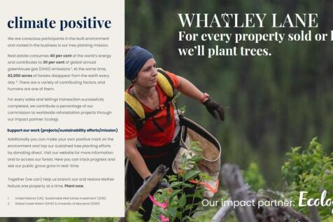 Whatley Lane_CSRi [FINAL CHAPTER] Draft v1.0.jpg