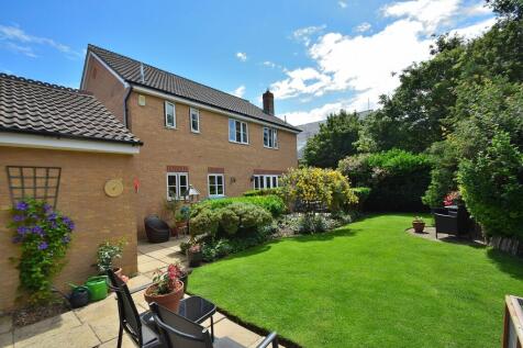 Property Image 16