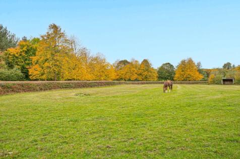 Views Over Neighbouring Paddock