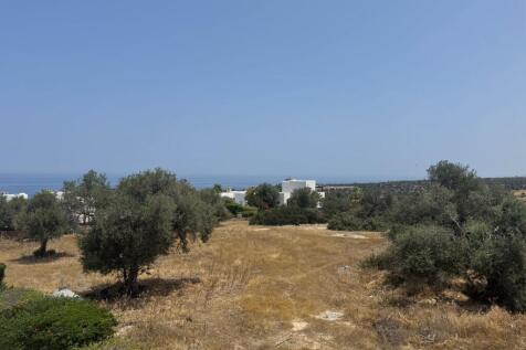 Charming 2 Bedroom Bungalow with Mature Garden &amp; Roof Terrace in Alagadi Image 9999 5