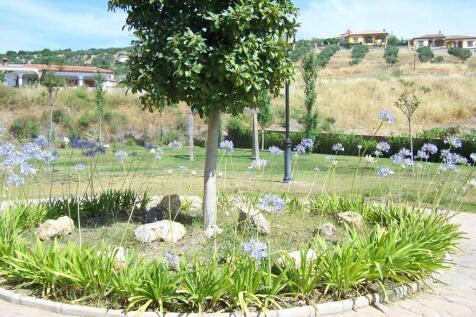 communal garden (b)