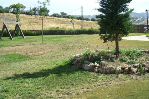 communal garden