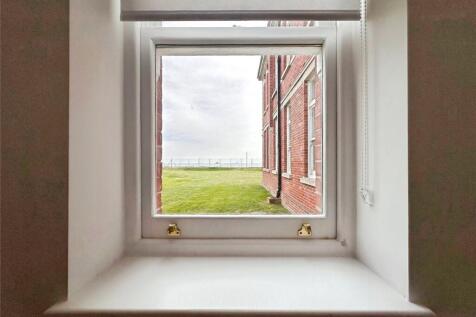 View From Window