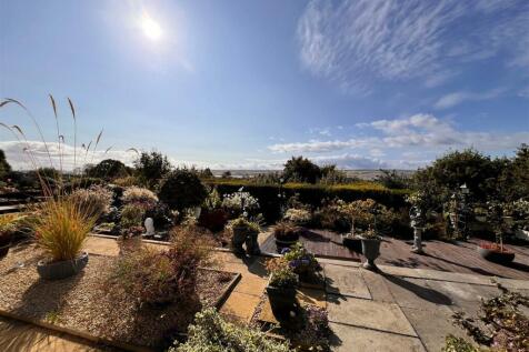 Front garden 2.jpg
