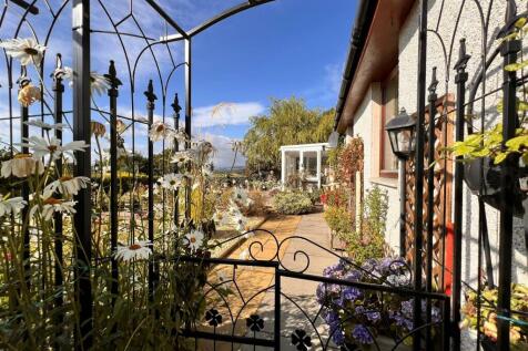Front garden.jpg