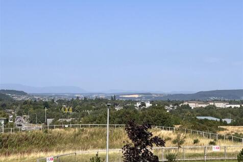 IMG_8348.jpg