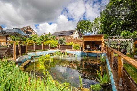 Property Image 42