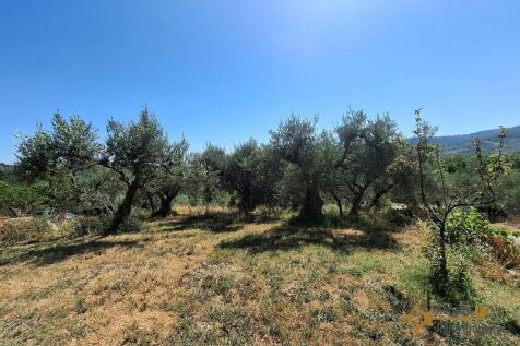 Property Image 66