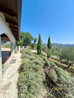 Property Image 57