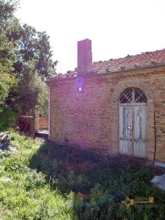 Back of the house