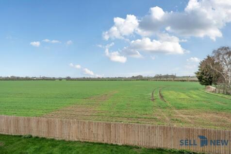 Field views 