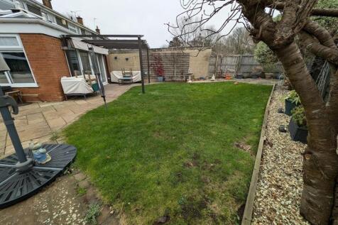 garden.jpg