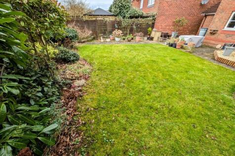 garden 3.jpg