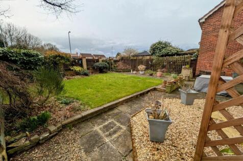 garden2.jpg