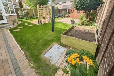 4816ca77-garden.jpg