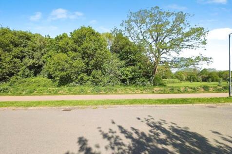 9 Templar front view d.jpg