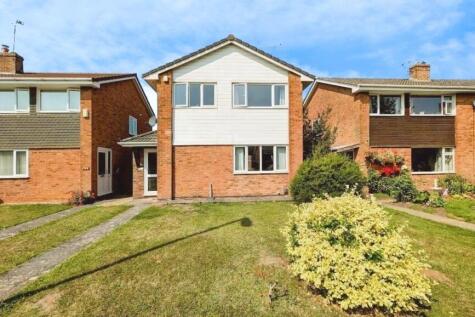 145 Finch front a.jpg