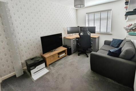 pbox-study-327599.jpg