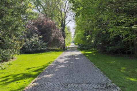 _MG_2314-HDR.jpg