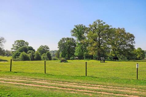 _MG_2333-HDR.jpg