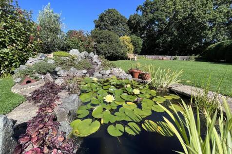 25.Pond.JPG