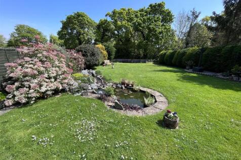Back garden.JPG