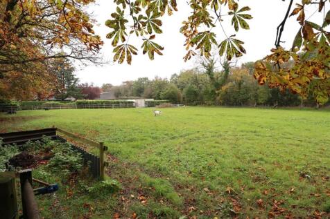Property Image 43