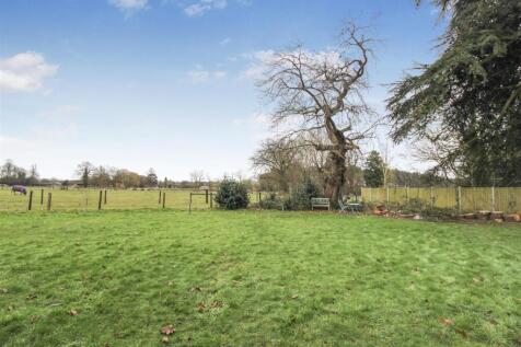 Rear views/Field views