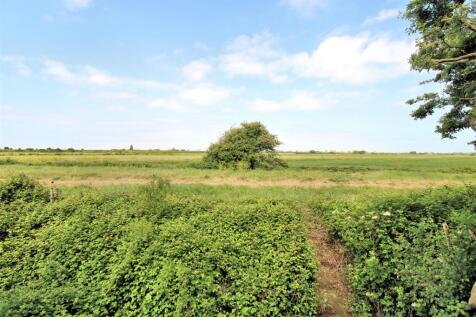 Field Views