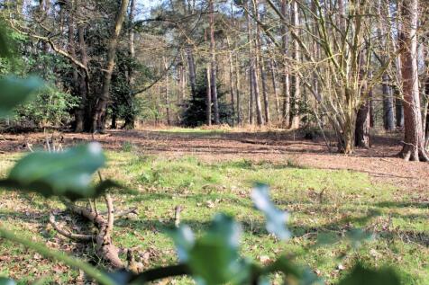 Woodland