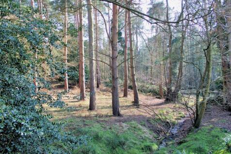 Woodland