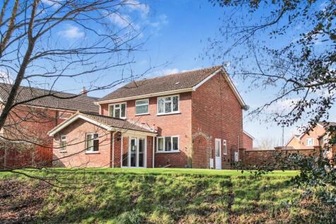 Rear of Property