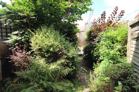 Garden (5).JPG