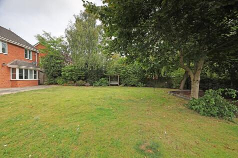 Property Image 34