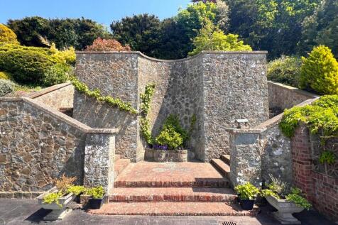 The steps