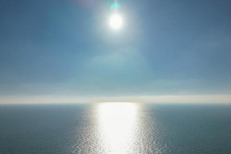 The view