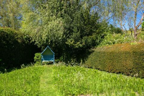 Wild flower garden