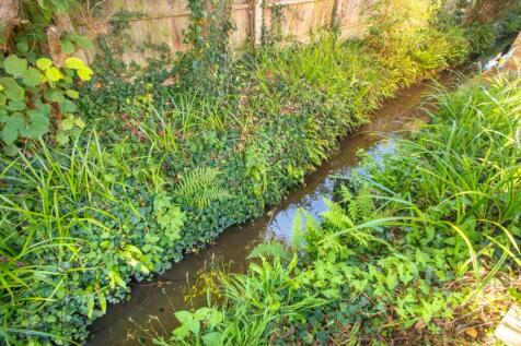 Stream
