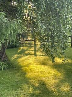 Garden.jpg