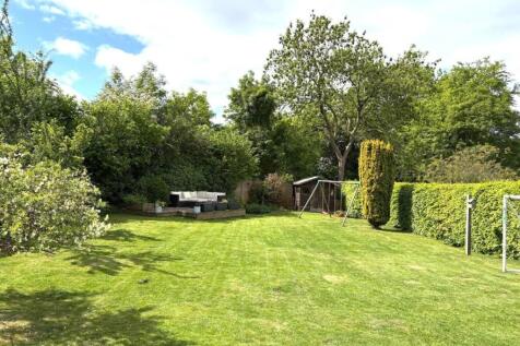 New garden.jpg