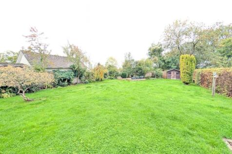 Garden 3 Oct &#39;25.jpg