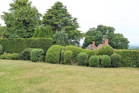 PXL_20250620_083201726.jpg