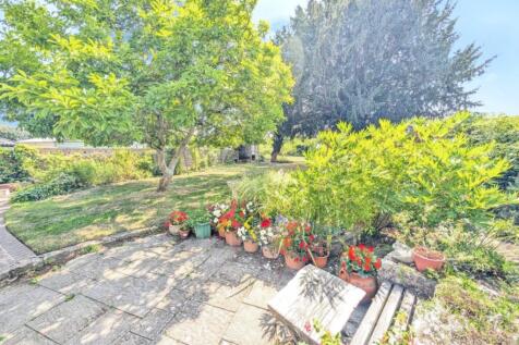 pbox-garden-322449.jpg