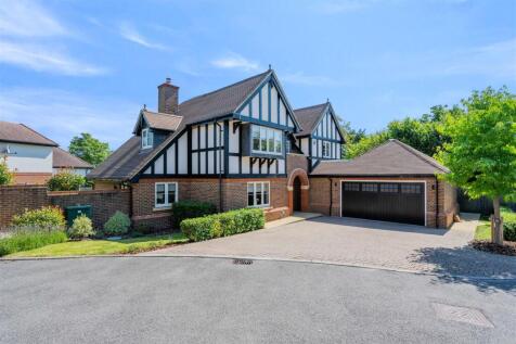 YEW TREE CLOSE (8).jpg
