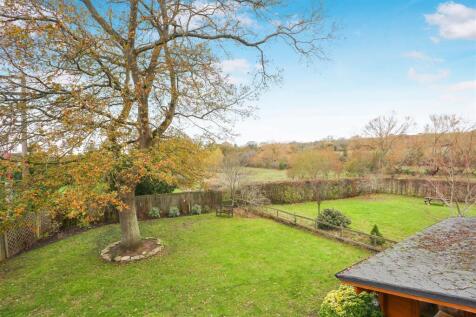 1577763541 -  Rye Field -17.jpg