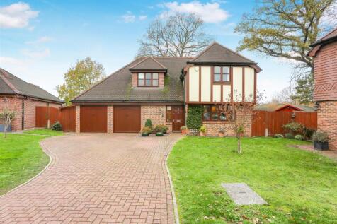 1577763541 -  Rye Field -15.jpg