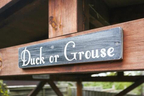 1577763541 -  Rye Field -12.jpg