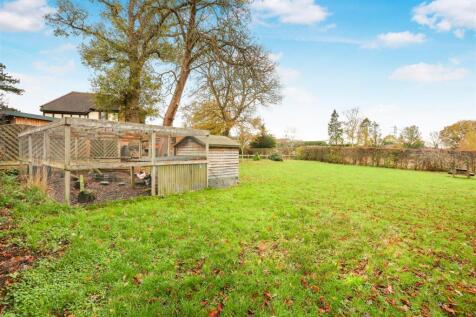 1577763541 -  Rye Field -7.jpg